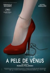 A Pele de Vênus (filme)