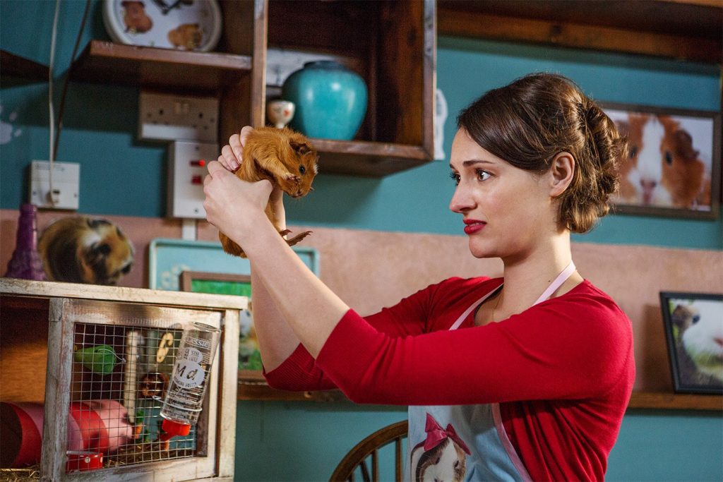 Fleabag (série)