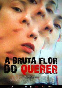 A Bruta Flor do Querer (filme)