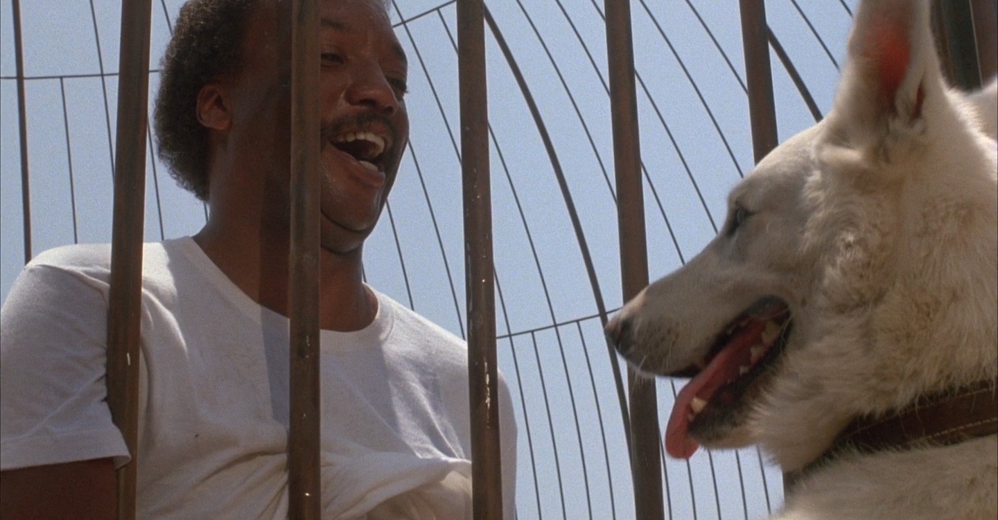 Cão Branco (filme)