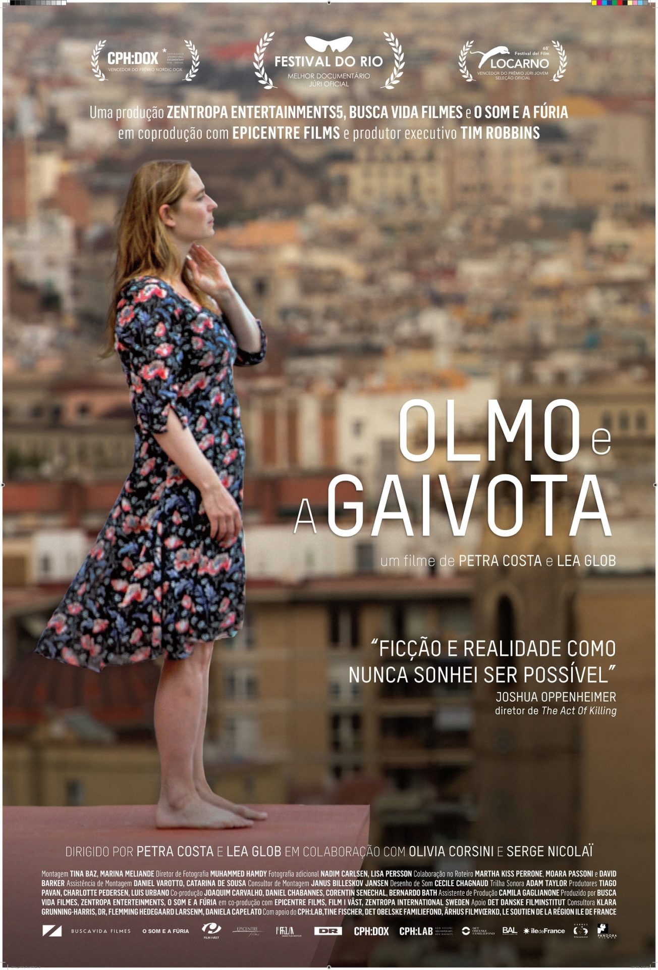 Olmo e a Gaivota (filme)