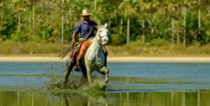 Pantanal, a boa inocência de nossas origens