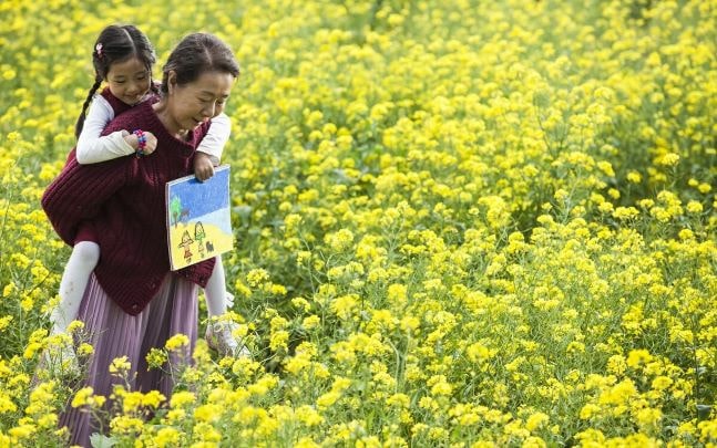 Canola (filme)