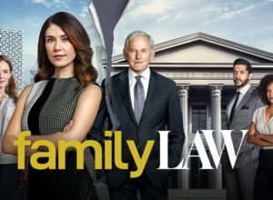 Family Law (série)