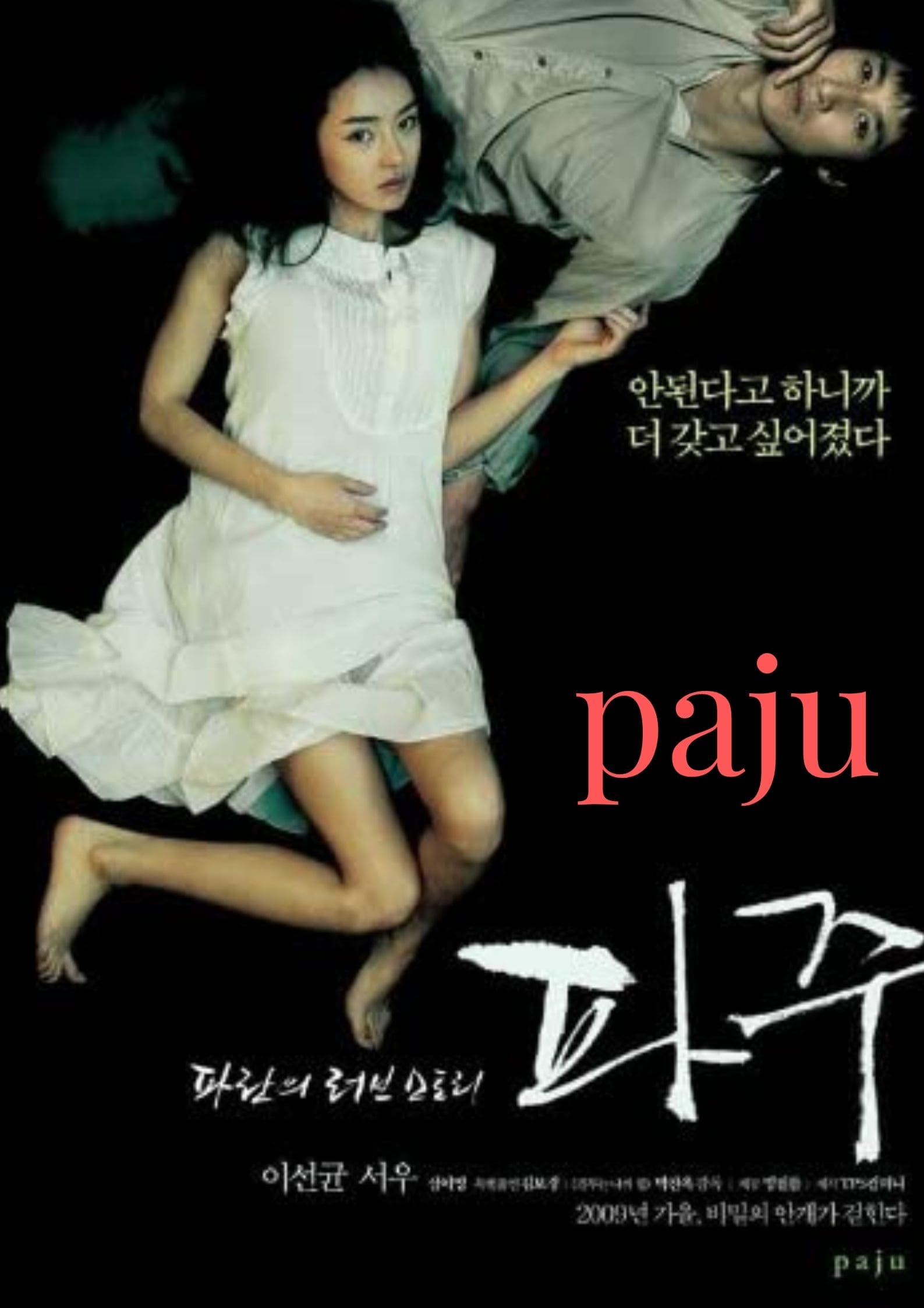 Paju (filme)