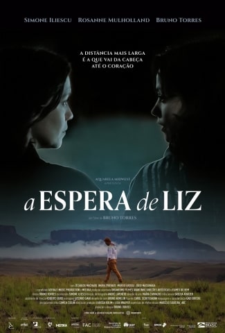 A Espera de Liz (filme)