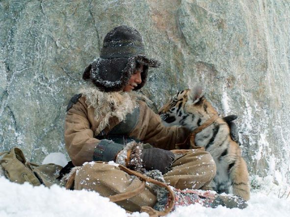 O Menino e o Tigre (filme)