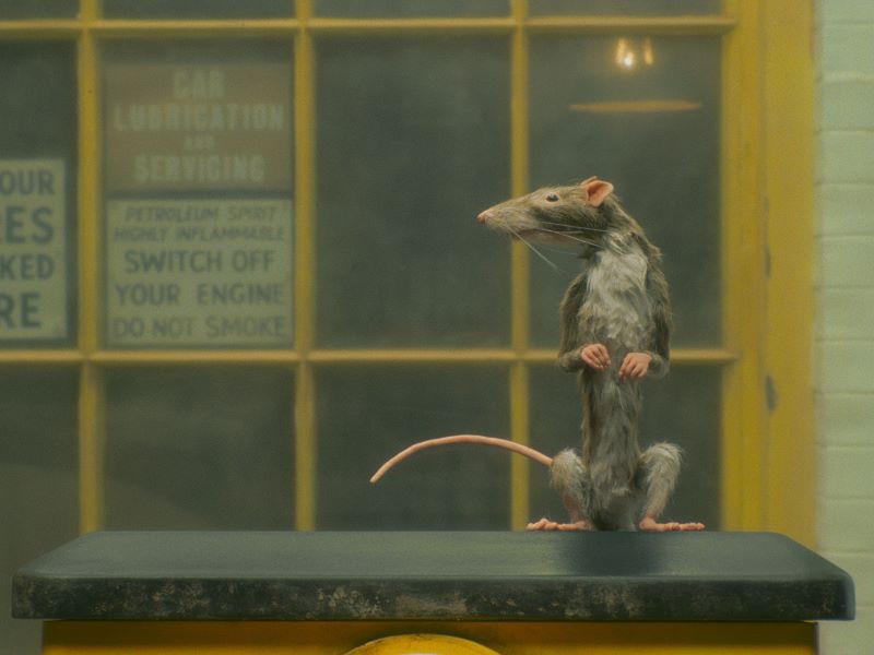 O Caçador de Ratos (filme)