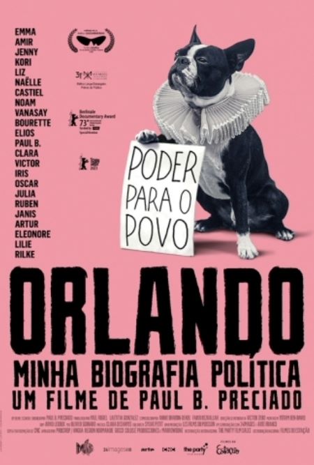 Poster do filme "Orlando - Minha Biografia Política"