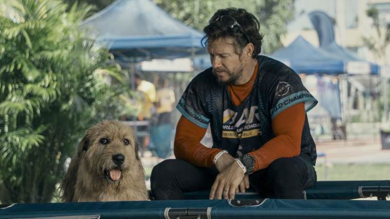 Um cão ao lado de Mark Wahlberg em cena do filme "Uma Prova de Coragem".