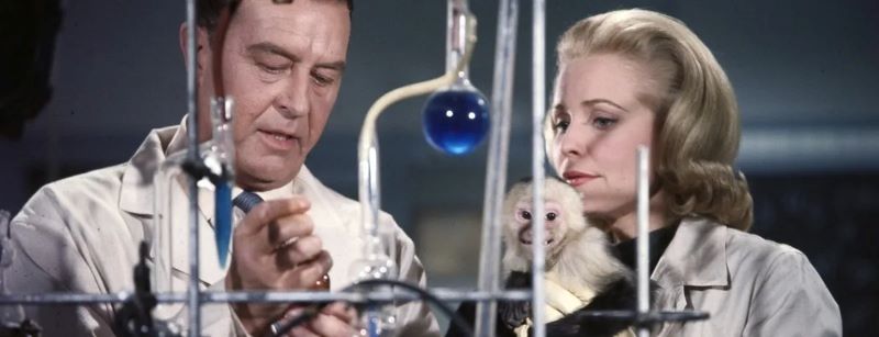 Um homem, uma mulher com um macaco no colo em um laboratório