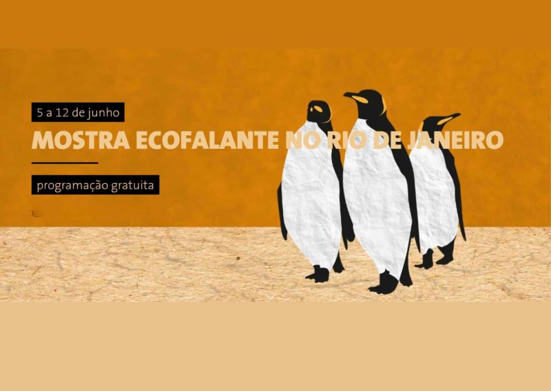 Cartaz da Mostra Ecofalante 2024 Rio