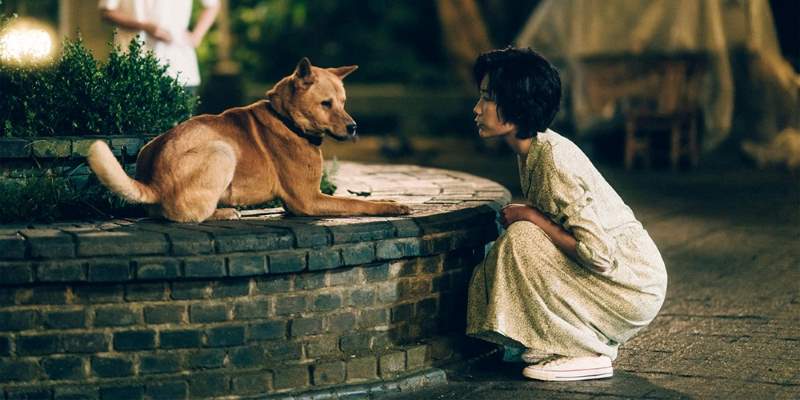 Cena do filme "Hachiko - Para Sempre"