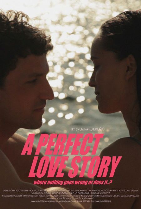 Poster do filme "A Perfect Love Story"