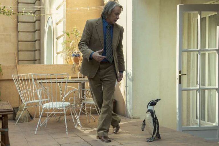 Steve Coogan em "Lições de Liberdade" (divulgação)
