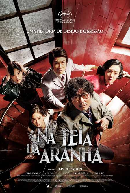 Na Teia da Aranha