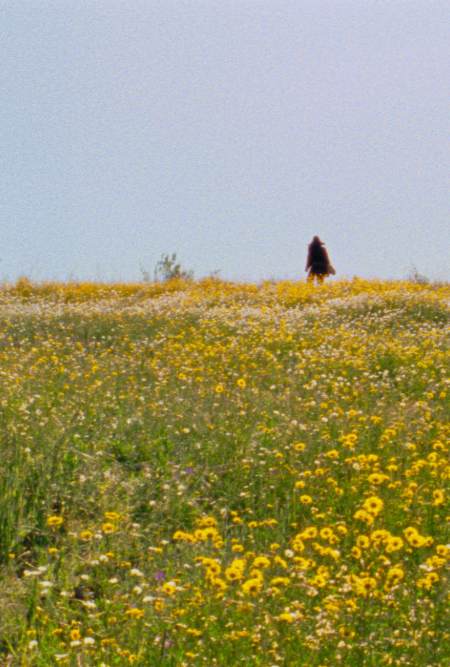 Poster de "As Estações" (divulgação/49ª Mostra)