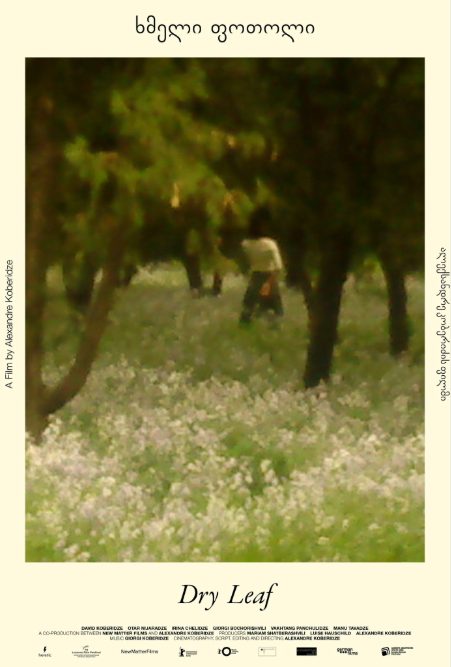 Poster de "Folha Seca"