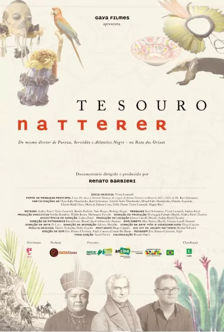 Poster do filme "Tesouro Natterer"